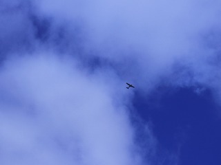 2620838