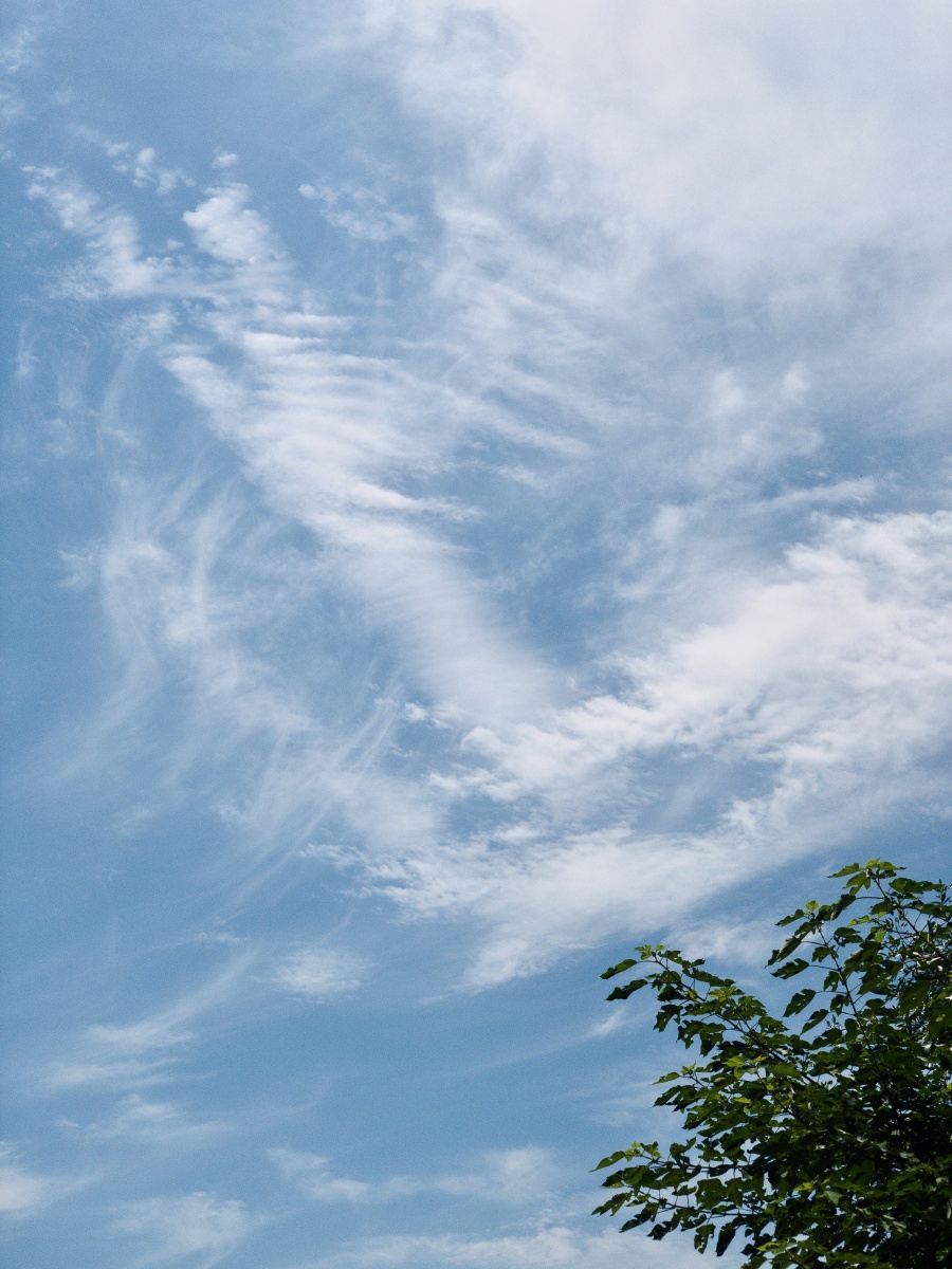 今天的天空特别漂亮