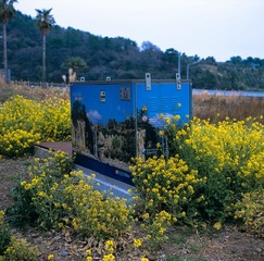 Image3
