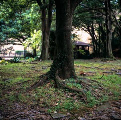 Image11