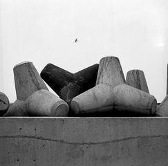 Image17