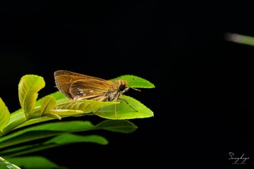 B87BE89D-A585-4DBA-95A9-0B63E7A7DAE5/L0/001