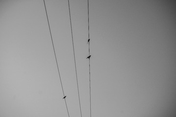 B0C882F7-E537-4538-B067-98A4C22BCE38/L0/001