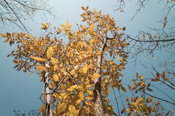 DSC03241-50