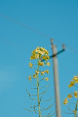 BEE644EF-1B4F-4270-AA67-3A0DF313DC94/L0/001