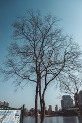 DSC03301-65
