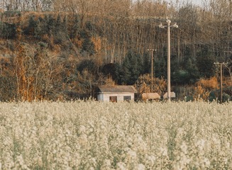 C3618635-2D29-49D4-B392-230325AD2AAE/L0/001