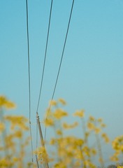 0DC8D449-CF9A-4555-9AB6-116727338BD8/L0/001