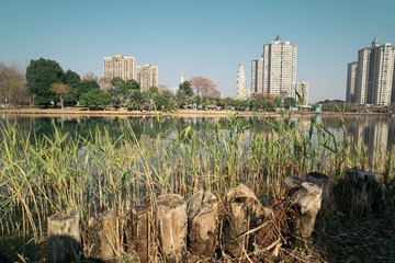 DSC03158-已增强-降噪-13