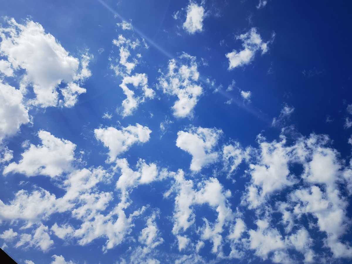 今天上午,校园里,抬头看,天空就这么瑰丽～明媚!