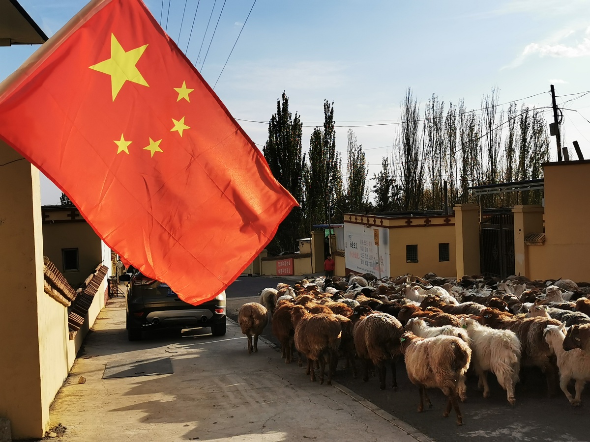 10月10日,摄于新疆哈密西山乡卡拉提依村.