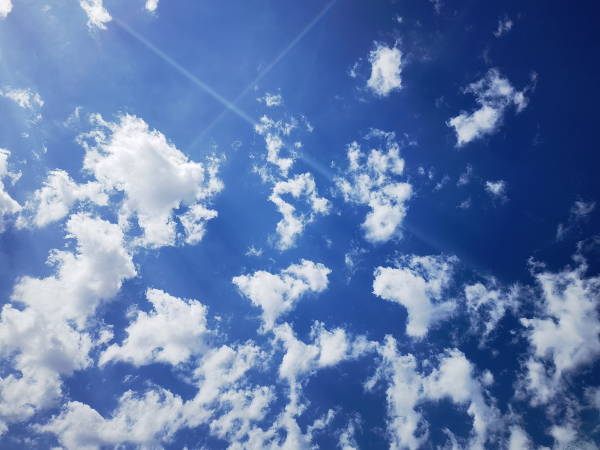 今天上午,校园里,抬头看,天空就这么瑰丽～明媚!