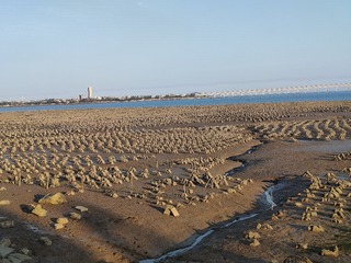 1000027458