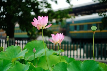 776105