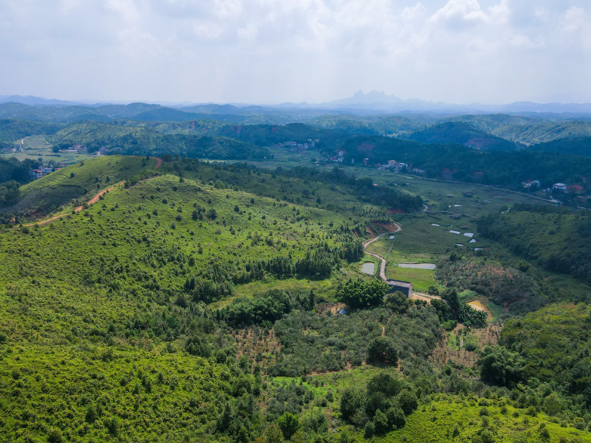 中国广东省河源市龙川县田心镇东友管理区小东坑下围!