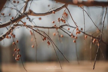 1287027