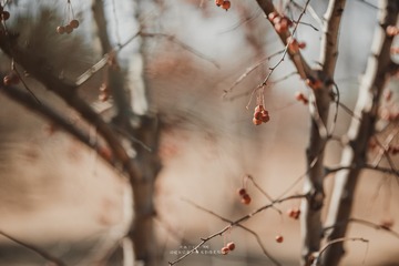 1287026