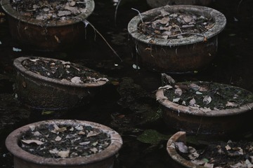 D53991D5-3C0A-463D-8D5A-CBBA7157C80E/L0/001
