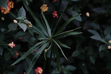 597D0709-EB62-4298-9954-A4BF7CF2CF6A/L0/001