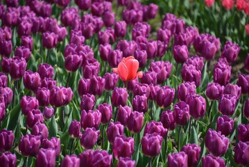 20150322_DSC_1076