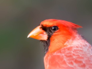 126140