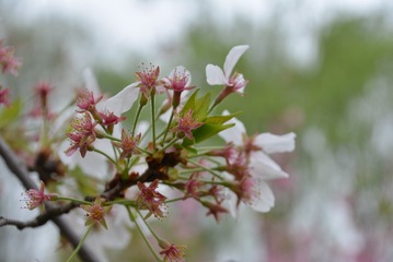 20150404_055