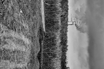 SDIM0113