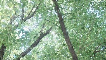 E2D80E71-290D-4B3D-AA03-4980D7AD65D9/L0/001