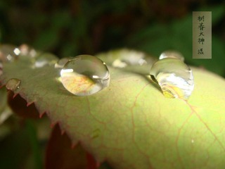 DSC00620_wm