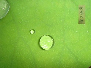 DSC00691_wm