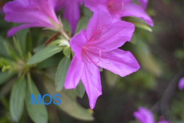 BC03B543-2712-4D5F-9D50-82CF352C0A00/L0/001