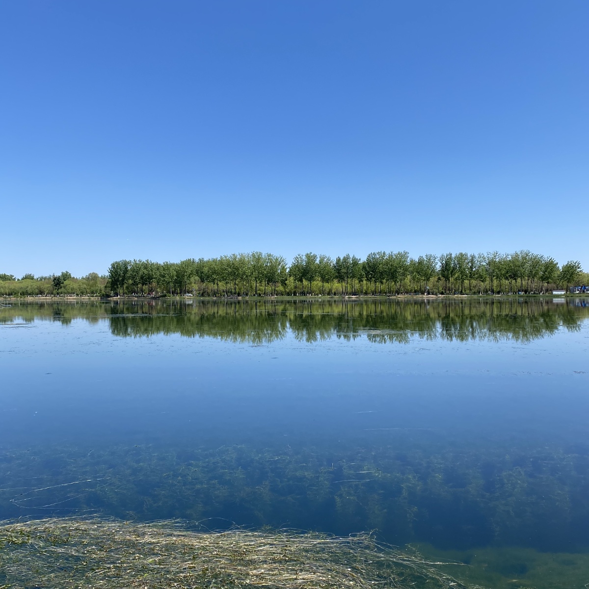 正午的河边漫步