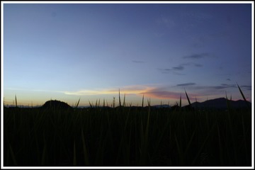 3B884D49-75D8-477D-B5C0-F5D74883C3B2/L0/001