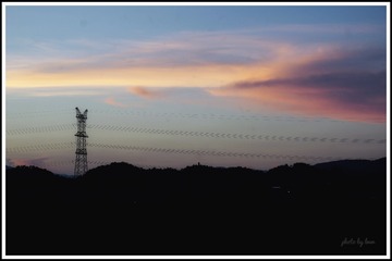92751CC0-074B-494F-8351-0B5BC8139515/L0/001