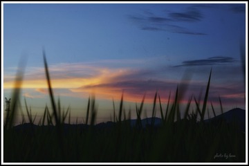 695ED509-321D-430F-97D9-C206F224C2DC/L0/001