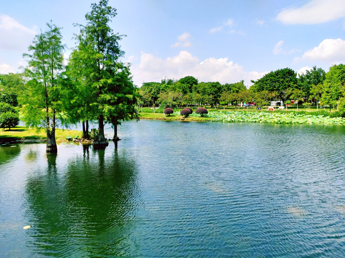 湖光景色 - 湘杨yang0707 - 图虫