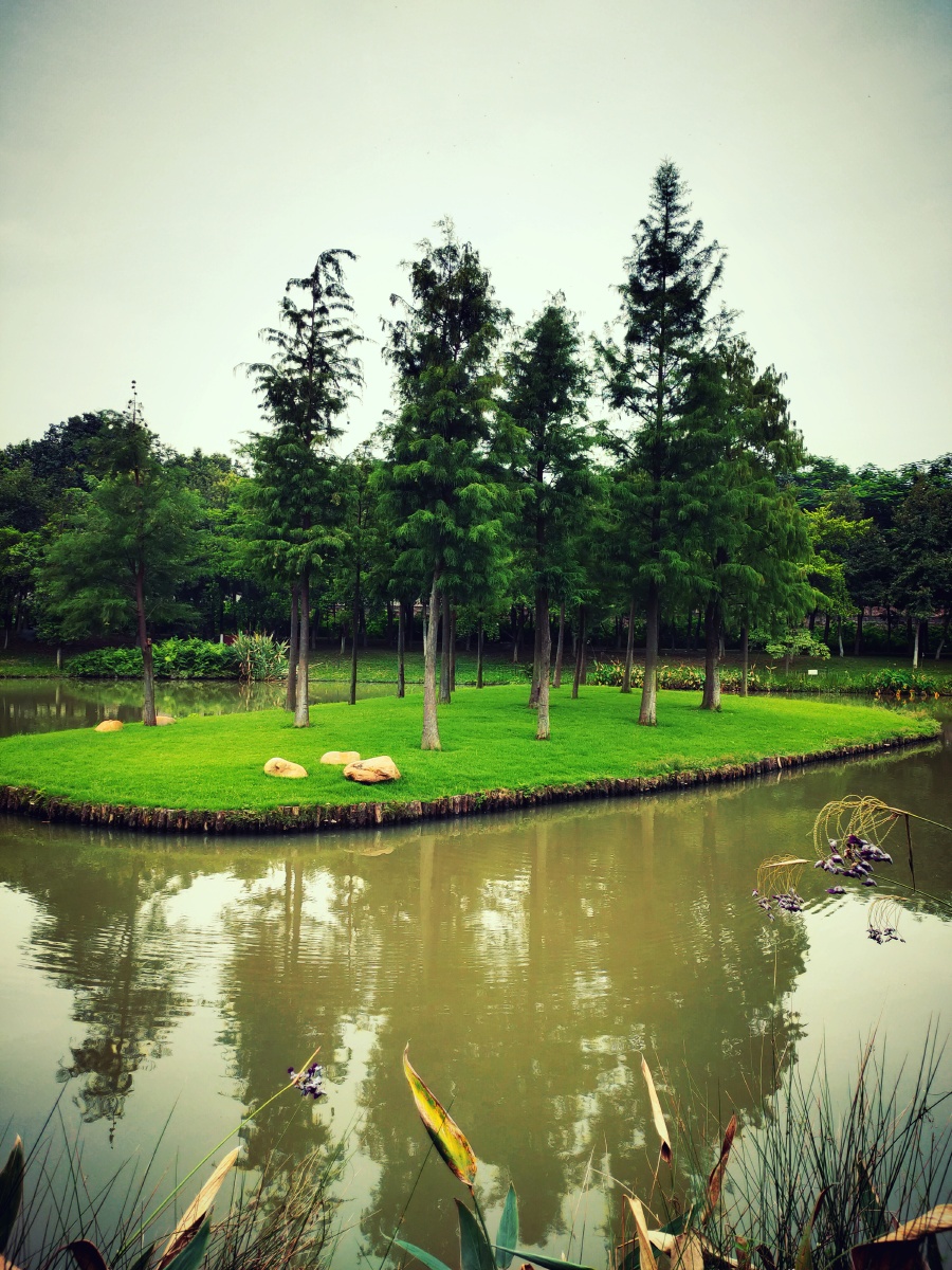 公园湖中小岛