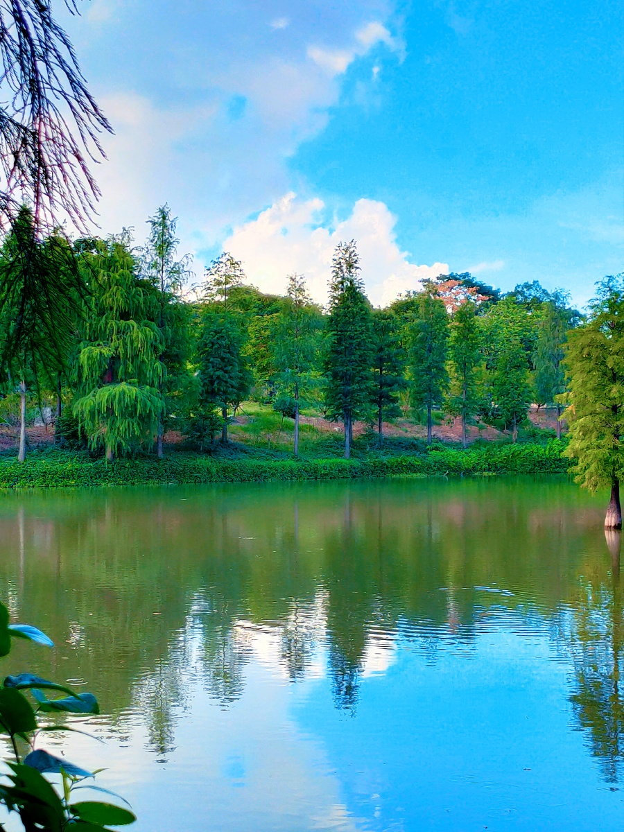 湖光景色 - 湘杨yang0707 - 图虫