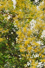 55BCFF84-8C6F-40FF-9D09-256B6908504C/L0/001