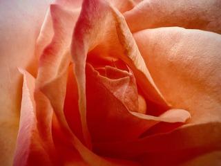 A478970C-31C5-4F10-A550-4EC7BC71DA9A/L0/001