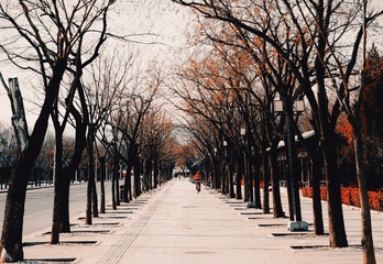 7E17B648-55CD-4977-8E32-6EFC9154585F/L0/001