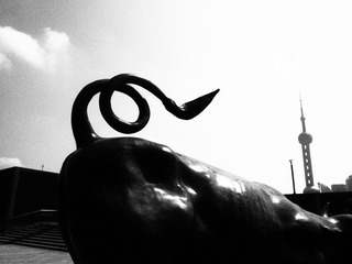P5215425.JPG