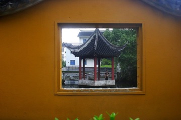 IMG_7649ls.