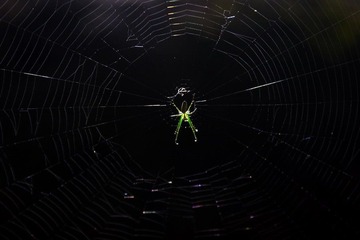 IMG_8538ls.d'