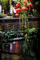 丽江