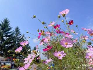 F5FB06EA-EF51-4E63-A47C-EC9F236ACAF3/L0/001