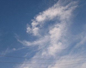 3652374