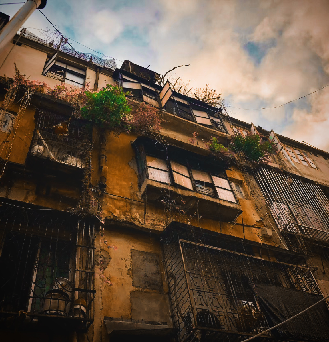 以前的老楼,总给人一种复古的气息.