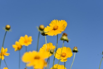 11612