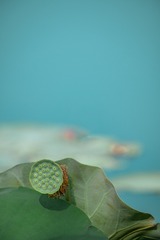 43E9FDC3-6B00-4F22-8D11-D5ED8207E3C2/L0/001